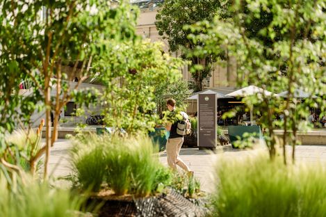 Blick durch grüne Pflanzen auf eine Person mit Rucksack, die auf einem Platz mit Sonnenschirmen und einem Informationsstand geht