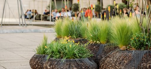 Modular plant balls called MQ TreePods on pallets in the courtyard