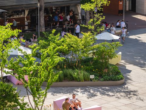 Städtischer Platz mit bepflanzten Beeten, rosa Sitzbänken und Menschen, die sich im Schatten von Bäumen aufhalten