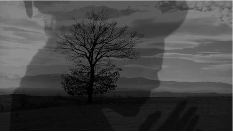 Ein kahler Baum auf einer Wiese vor einem bewölkten Himmel mit einer transparenten, überlagerten Hand und einem Gesicht im Hintergrund.