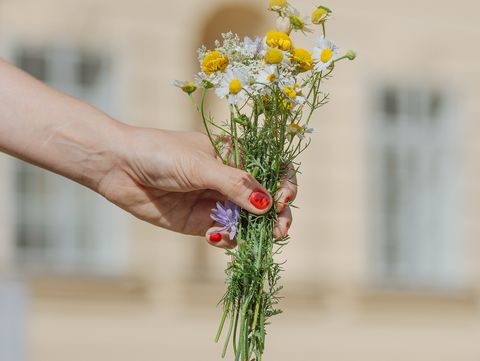 Hand mit rotem Nagellack hält einen kleinen Strauß mit Kamillen- und anderen Wildblumen vor unscharfem Gebäudehintergrund