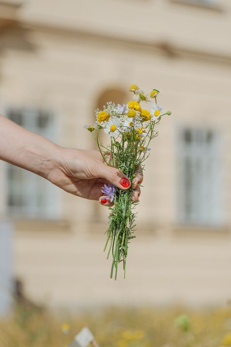 Hand mit rotem Nagellack hält einen kleinen Strauß mit Kamillen- und anderen Wildblumen vor unscharfem Gebäudehintergrund