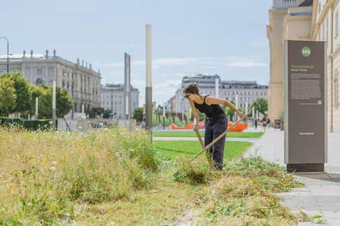 A person is working with a scythe in the Verschsfeld1
