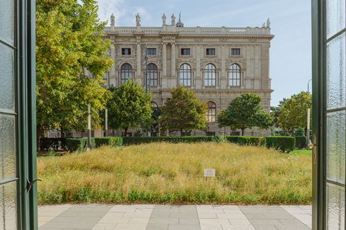A wide view of a flowering meadow in front of the MQ in summer