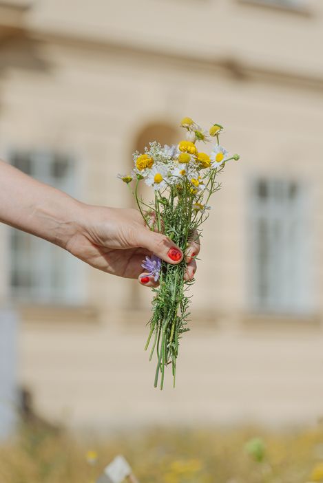 Hand mit rotem Nagellack hält einen kleinen Strauß mit Kamillen- und anderen Wildblumen vor unscharfem Gebäudehintergrund