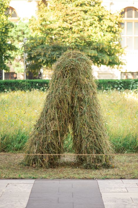 A haystack shaped like the letter “A” stands in Veruschsfeld1