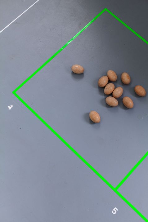 Mehrere braune Mandeln liegen auf einer grauen Fläche innerhalb eines grünen, schräg stehenden Quadrats mit den Zahlen 4 und 5 an den Ecken.