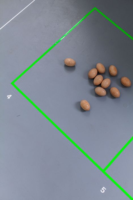 Mehrere braune Mandeln liegen auf einer grauen Fläche innerhalb eines grünen, schräg stehenden Quadrats mit den Zahlen 4 und 5 an den Ecken.