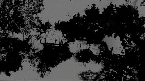 Reflection of trees and a bridge in still water.