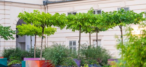 People walking and sitting in front of a historic building with columns and large banners on the facade surrounded by trees and plants in an urban square