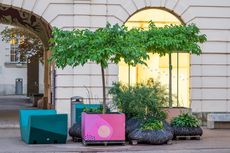 Mehrere Bäume und Pflanzen in urbanen Pflanzgefäßen vor einem hellen Gebäude mit Rundbogenfenster