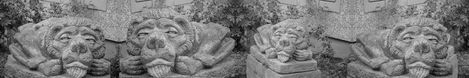 Black-and-white close-up of a stone lion head with paws on a wall.