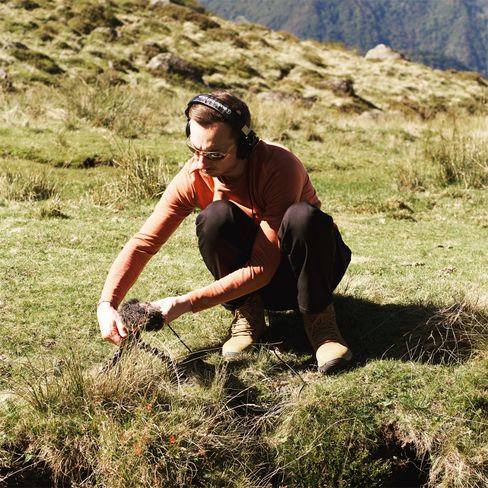 Person in Outdoorbekleidung hockt auf einer grasbewachsenen Wiese und hält ein Mikrofon mit Windschutz in der Hand.