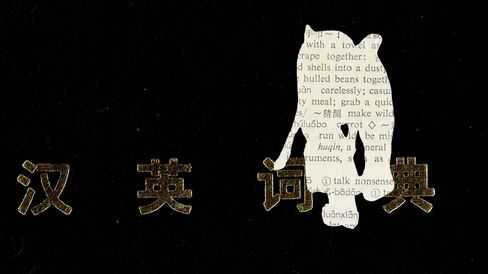 Black background with gold Chinese characters and a white cat silhouette filled with dictionary text.
