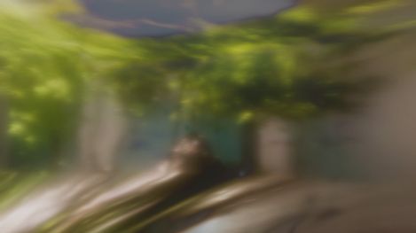 Heavily blurred image of a person in greenery, with a dynamic motion blur effect.