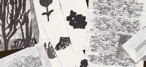 Collage aus schwarz-weißen Zeichnungen und Druckgrafiken mit abstrakten Formen, Pflanzenmotiven und textartigen Strukturen auf einem braunen Hintergrund.