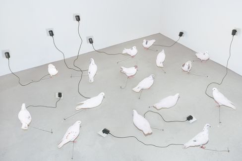 Several white pigeons on a room floor each connected by a cable to a wall outlet.