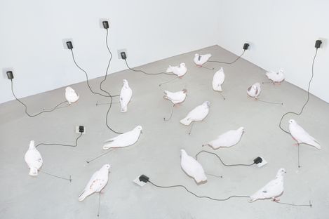 Several white pigeons on a room floor each connected by a cable to a wall outlet.