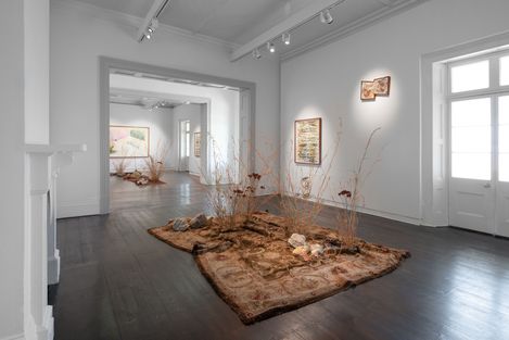 Ausstellung mit Bodeninstallation aus trockenen Pflanzen und Steinen auf Teppich in einem weißen Raum mit mehreren Fenstern und gerahmten Bildern an den Wänden.