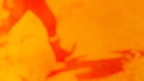 Abstract orange close-up with soft, flowing shapes.