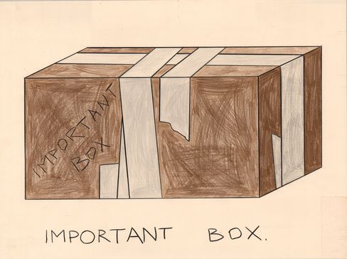Brown rectangular box with multiple white tape strips and handwritten text "IMPORTANT BOX" on the side and below.