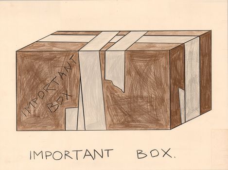 Brown rectangular box with multiple white tape strips and handwritten text "IMPORTANT BOX" on the side and below.