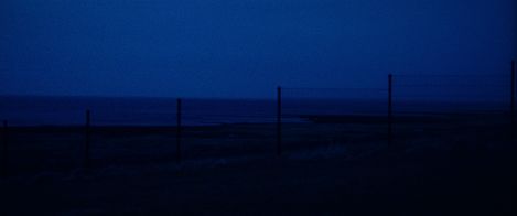 Dunkle Landschaft mit mehreren dünnen, vertikalen Pfosten vor einem dunklen Horizont bei Nacht.