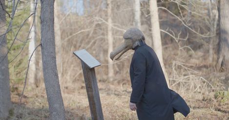 Person wearing a black coat and gray hat looking at an information board in a forest.