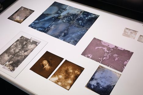 Several rectangular and square photographs with abstract, color-washed patterns arranged on an illuminated white surface.
