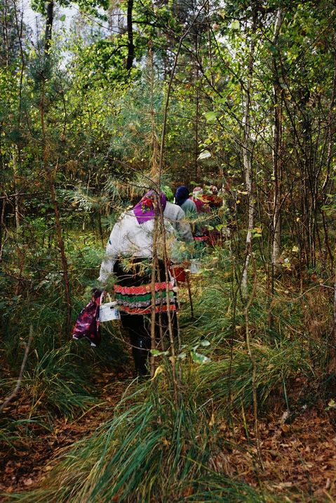 Mehrere Personen in traditioneller Kleidung mit Kopftüchern gehen auf einem schmalen Pfad durch einen dichten Wald.