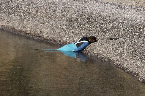 A person is lying face down at the edge of a shallow body of water, half in the water and half on a pebbly shore. They are wearing turquoise pants and a multicolored jacket; the scene appears quiet and unusual because the person is lying motionless with their face toward the ground.