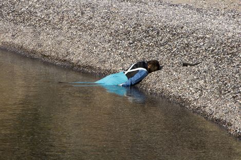 A person is lying face down at the edge of a shallow body of water, half in the water and half on a pebbly shore. They are wearing turquoise pants and a multicolored jacket; the scene appears quiet and unusual because the person is lying motionless with their face toward the ground.