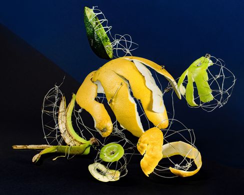 Floating orange peel, lime slices, and other fruit peels surrounded by thin wire mesh against a dark background.