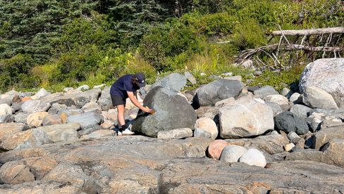 Eine Person kniet zwischen großen Steinen an einem felsigen Ufer und untersucht einen Felsen mit der Hand.