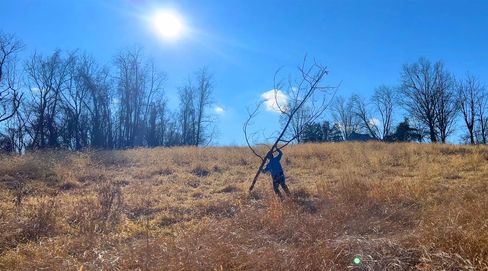 Eine Person trägt einen großen Ast über ein trockenes Feld unter strahlender Sonne und blauem Himmel.