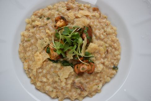 Plate of creamy risotto topped with mushrooms, green herbs, and Parmesan crisps