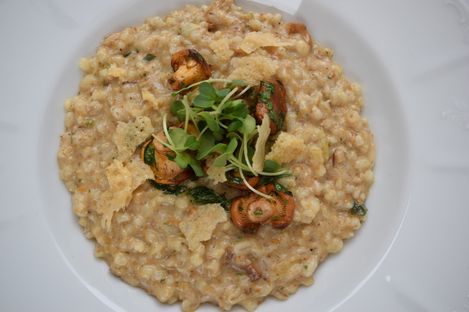 Plate of creamy risotto topped with mushrooms, green herbs, and Parmesan crisps