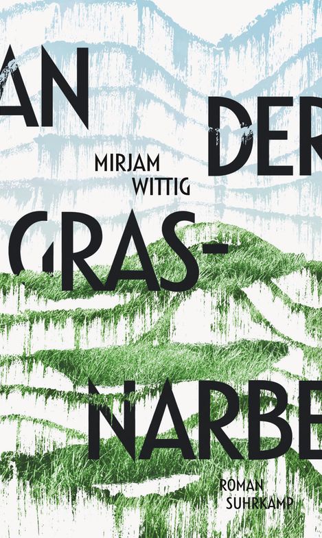 Buchcover mit dem Titel „An der Grasnarbe“ von Mirjam Wittig, mit grünem Gras und blauem Himmel als Hintergrund.