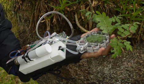 Hand holding a transparent heart-shaped instrument connected by tubes to a white rectangular device surrounded by plants and moss.