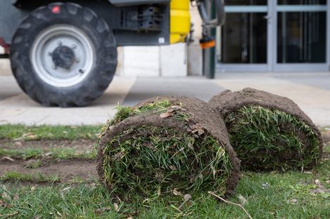 Two rolls of sod are lying on the lawn, with a yellow construction vehicle in the background.