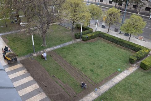 Three people are laying sod on a rectangular lawn next to a walkway.