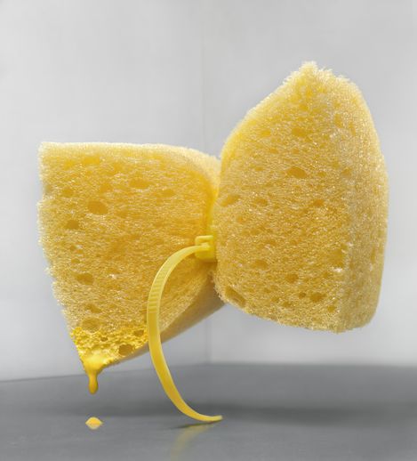Two yellow sponge pieces connected by a yellow cable tie with a drop of yellow liquid dripping from one piece.