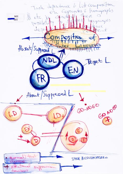 Sketch with circles and arrows illustrating the composition of three languages (NDL, FR, EN) and their absence or suppression, with handwritten notes and colored highlights.