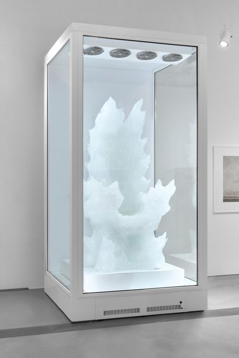 Ice sculpture inside a lit transparent display case in an exhibition space