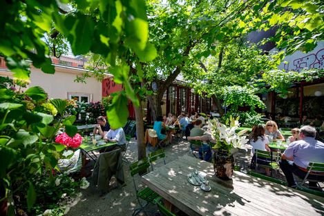 People sit at tables eating and talking in a leafy outdoor garden restaurant with green chairs and abundant foliage providing shade.