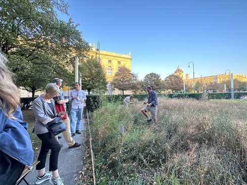 People are standing in front of the test field, and one person is standing inside