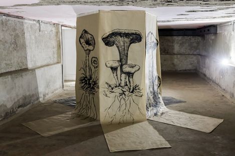 Multi-panel canvas with black-and-white mushroom drawings attached to floor and ceiling in a bare windowless room.