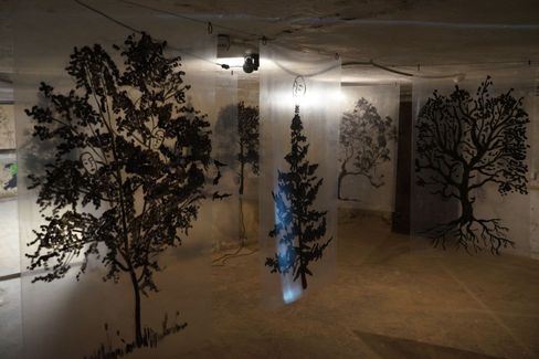 Several transparent sheets with black-and-white tree drawings hang from the ceiling in a dimly lit room.