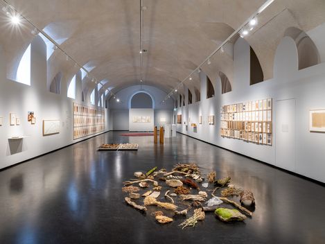 Großer Ausstellungsraum mit gewölbter Decke, an den Wänden zahlreiche gerahmte Kunstwerke und auf dem Boden eine organisch geformte Installation aus Naturmaterialien.