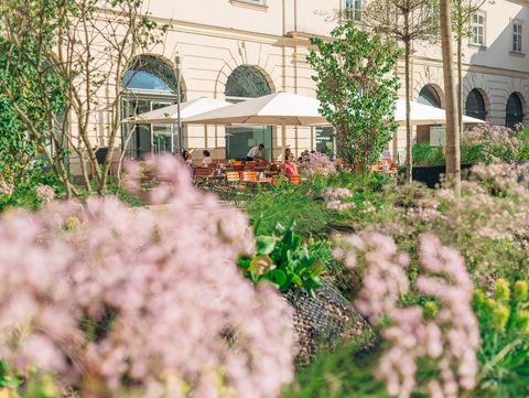 View through flowering plants onto a terrace with a parasol in front of a historic building with arched windows